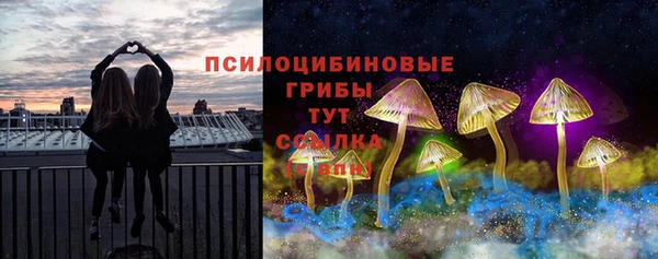 МДПВ Абаза
