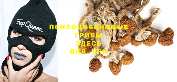 МДПВ Абаза