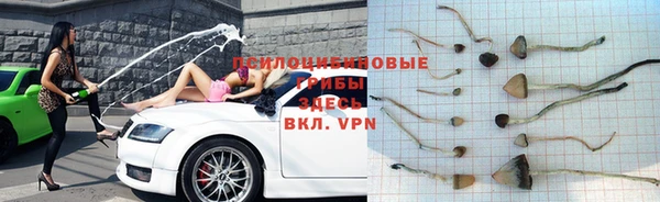 МДПВ Абаза