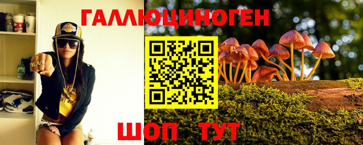 Галлюциногенные грибы Psilocybe Стрежевой
